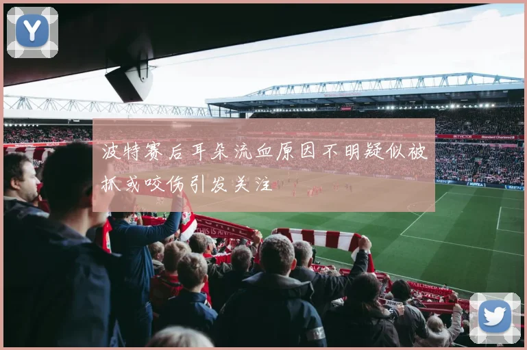 波特赛后耳朵流血原因不明疑似被抓或咬伤引发关注
